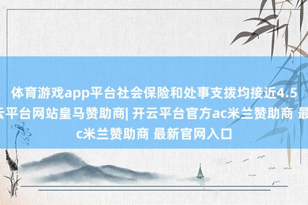 体育游戏app平台社会保险和处事支拨均接近4.5万亿元-开云平台网站皇马赞助商| 开云平台官方ac米兰赞助商 最新官网入口