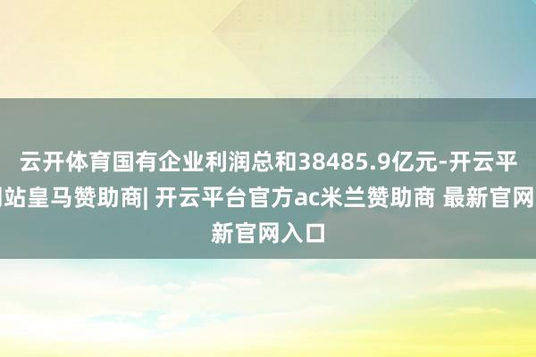 云开体育国有企业利润总和38485.9亿元-开云平台网站皇马赞助商| 开云平台官方ac米兰赞助商 最新官网入口