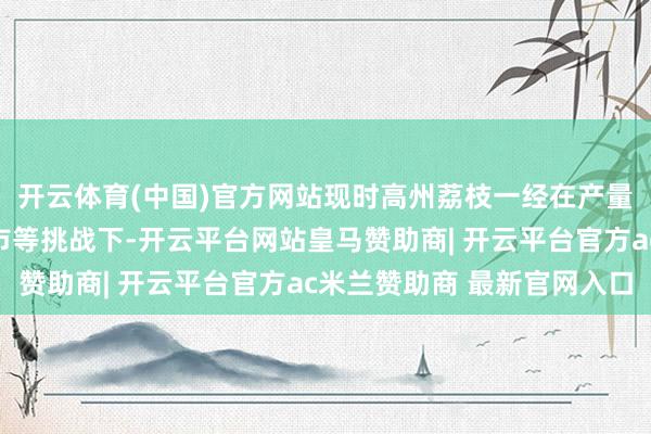 开云体育(中国)官方网站现时高州荔枝一经在产量激增、多产区都集上市等挑战下-开云平台网站皇马赞助商| 开云平台官方ac米兰赞助商 最新官网入口